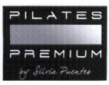 Imagen de PILATES PREMIUM BY SILVIA PUENTES