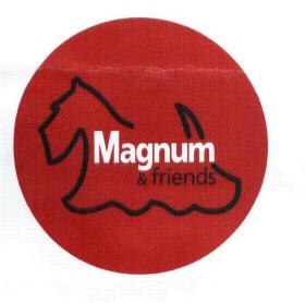 Imagen de MAGNUM & FRIENDS
