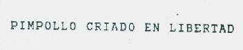 Imagen de PIMPOLLO CRIADO EN LIBERTAD