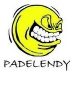 Imagen de PADELENDY