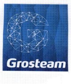 Imagen de G GROSTEAM