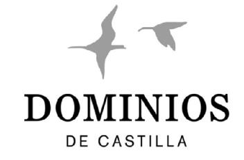 Imagen de DOMINIOS DE CASTILLA