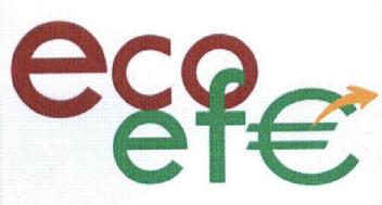 Imagen de ECOEFE