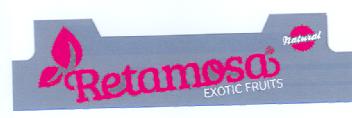 Imagen de RETAMOSA EXOTIC FRUITS NATURAL