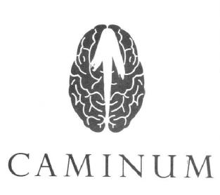 Imagen de CAMINUM