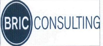 Imagen de BRIC CONSULTING