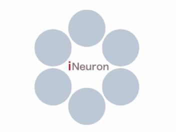 Imagen de INEURON