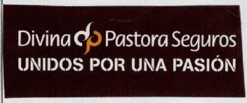 Imagen de DIVINA DP PASTORA SEGUROS UNIDOS POR UNA PASION