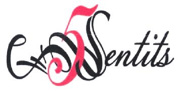 Imagen de 5SENTITS