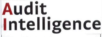 Imagen de AUDIT INTELLIGENCE