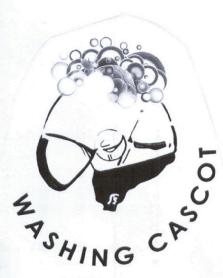 Imagen de WASHING CASCOT