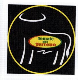 Imagen de TOMATE DEL TERRENO
