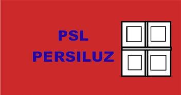 Imagen de PSL PERSILUZ