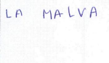 Imagen de LA MALVA