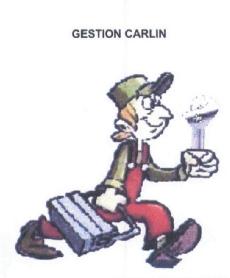 Imagen de GESTION CARLIN