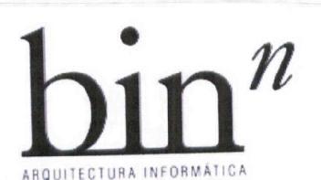 Imagen de BIN N ARQUITECTURA INFORMATICA