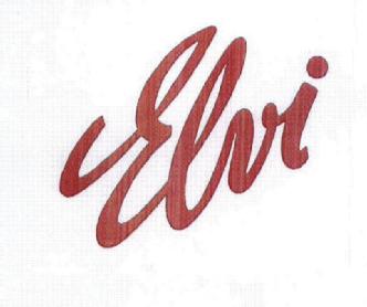Imagen de ELVI