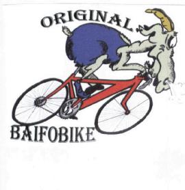 Imagen de ORIGINAL BAIFOBIKE