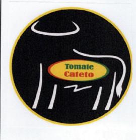 Imagen de TOMATE CATETO