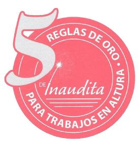 Imagen de 5 REGLAS DE ORO PARA TRABAJOS EN ALTURA DE INAUDITA