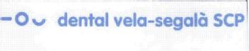 Imagen de DENTAL VELA - SEGALA SCP