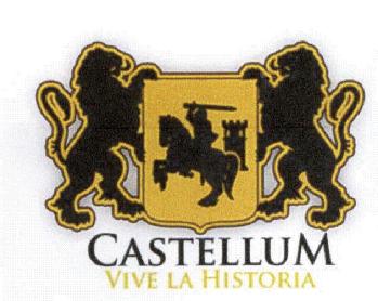 Imagen de CASTELLUM VIVE LA HISTORIA