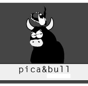 Imagen de PICA & BULL