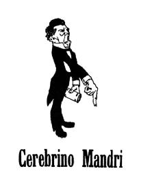 Imagen de CEREBRINO MANDRI