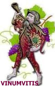 Imagen de VINUMVITIS