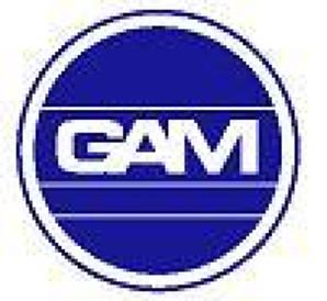 Imagen de GAM