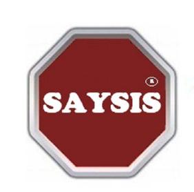Imagen de SAYSIS