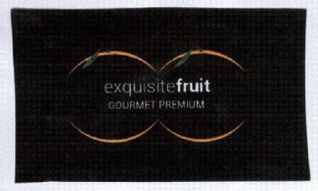 Imagen de EXQUISITEFRUIT GOURMET PREMIUM