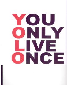 Imagen de YOU ONLY LIVE ONCE