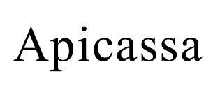 Imagen de APICASSA
