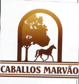 Imagen de CABALLOS MARVAO