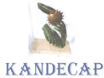 Imagen de KANDECAP