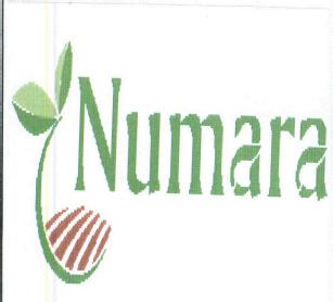 Imagen de NUMARA