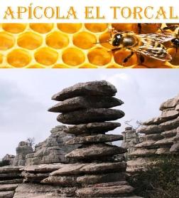 Imagen de APICOLA EL TORCAL