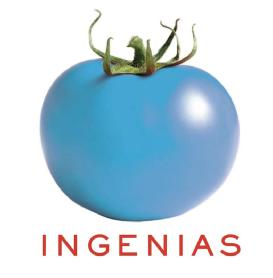 Imagen de INGENIAS