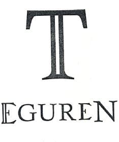 Imagen de T EGUREN