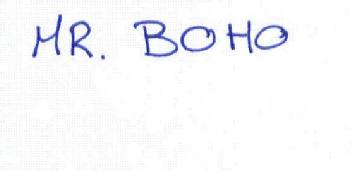 Imagen de MR. BOHO