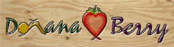 Imagen de DOÑANA BERRY