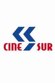 Imagen de CINE SUR