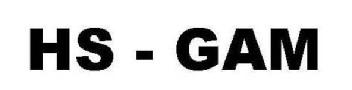 Imagen de HS - GAM