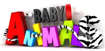 Imagen de BABY ANIMALS