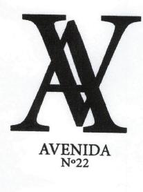 Imagen de AV AVENIDA N 22