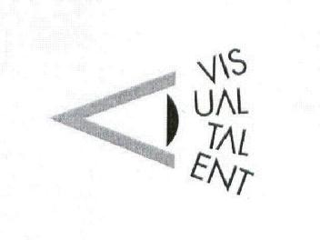 Imagen de VISUAL TALENT