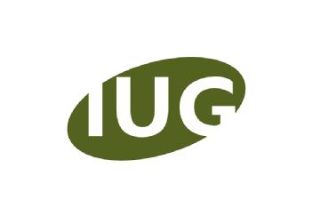 Imagen de IUG