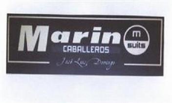Imagen de MARIN CABALLEROS M SUITS JOSE LUIS DOMINGO