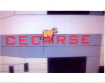 Imagen de CECARSE